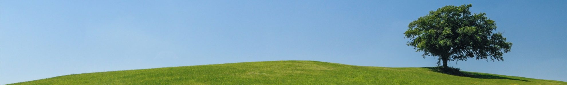 cropped-Header.jpg