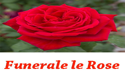 TASTO FUN ROSE